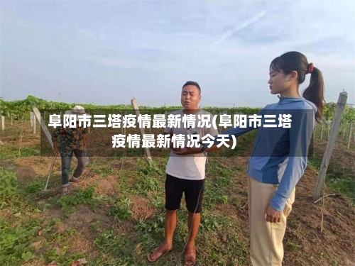 阜阳市三塔疫情最新情况(阜阳市三塔疫情最新情况今天)-第2张图片