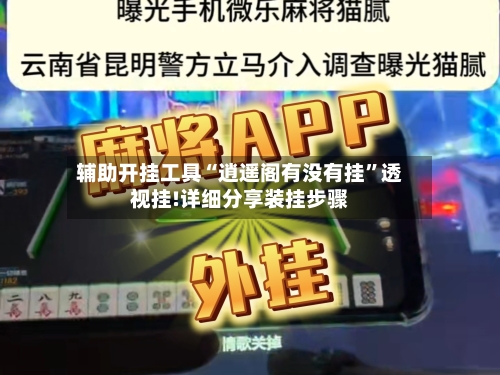 辅助开挂工具“逍遥阁有没有挂”透视挂!详细分享装挂步骤-第1张图片
