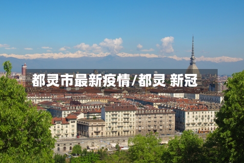都灵市最新疫情/都灵 新冠-第2张图片