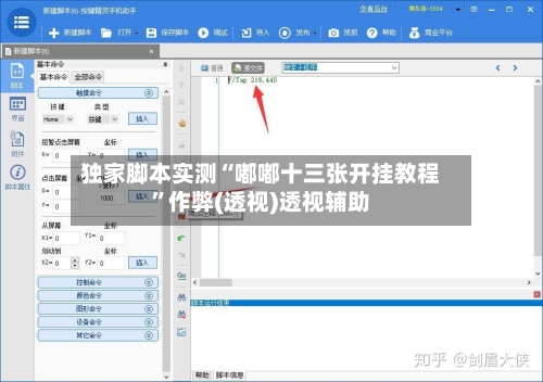 独家脚本实测“嘟嘟十三张开挂教程”作弊(透视)透视辅助-第2张图片