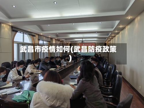武昌市疫情如何(武昌防疫政策)-第2张图片