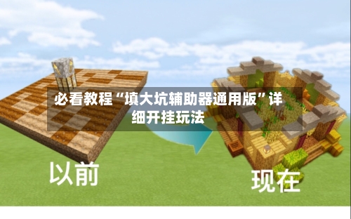 必看教程“填大坑辅助器通用版”详细开挂玩法-第2张图片