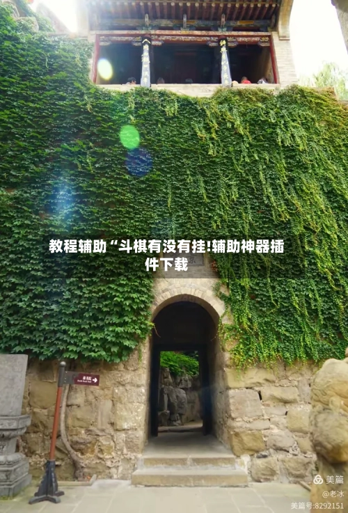 教程辅助“斗棋有没有挂!辅助神器插件下载-第3张图片