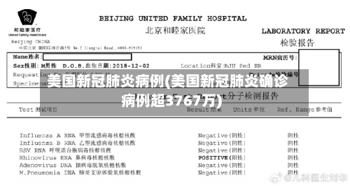 美国新冠肺炎病例(美国新冠肺炎确诊病例超3767万)-第2张图片