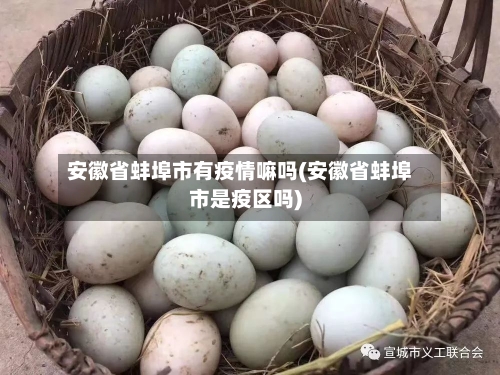 安徽省蚌埠市有疫情嘛吗(安徽省蚌埠市是疫区吗)-第1张图片