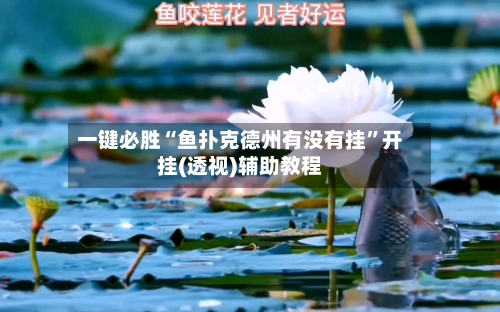 一键必胜“鱼扑克德州有没有挂”开挂(透视)辅助教程-第2张图片