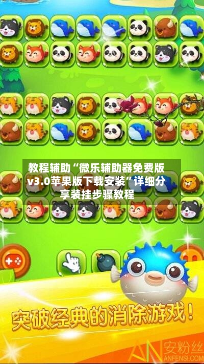 教程辅助“微乐辅助器免费版v3.0苹果版下载安装”详细分享装挂步骤教程-第2张图片