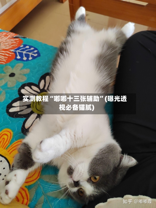实测教程“嘟嘟十三张辅助”(曝光透视必备猫腻)-第1张图片