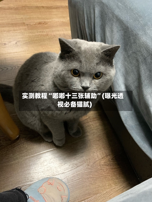 实测教程“嘟嘟十三张辅助	”(曝光透视必备猫腻)-第2张图片