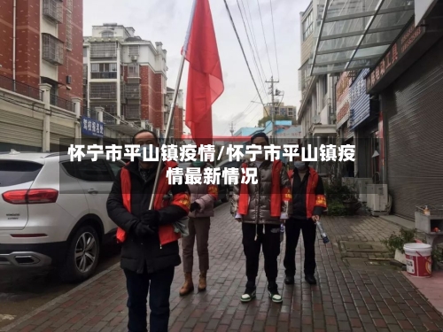 怀宁市平山镇疫情/怀宁市平山镇疫情最新情况-第2张图片