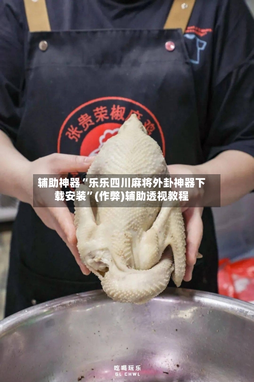 辅助神器“乐乐四川麻将外卦神器下载安装”(作弊)辅助透视教程-第3张图片