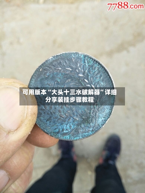可用版本“大头十三水破解器	”详细分享装挂步骤教程-第1张图片