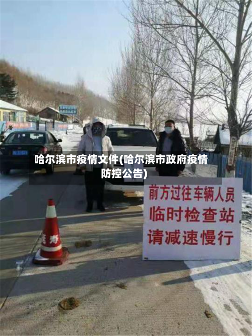 哈尔滨市疫情文件(哈尔滨市政府疫情防控公告)-第1张图片