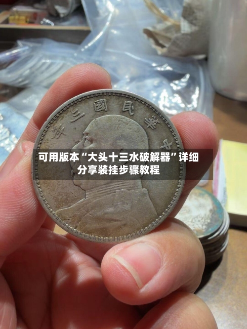 可用版本“大头十三水破解器”详细分享装挂步骤教程-第2张图片