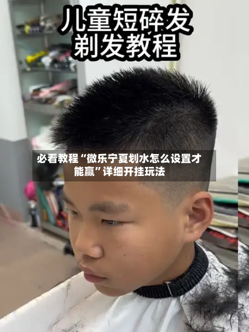 必看教程“微乐宁夏划水怎么设置才能赢	”详细开挂玩法-第3张图片