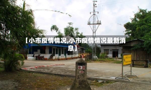 【小市疫情情况,小市疫情情况最新消息】-第1张图片