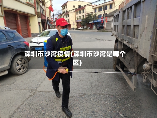 深圳市沙湾疫情(深圳市沙湾是哪个区)-第3张图片