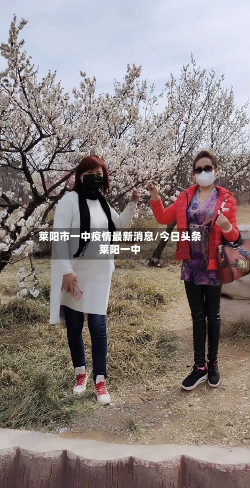 莱阳市一中疫情最新消息/今日头条莱阳一中-第2张图片
