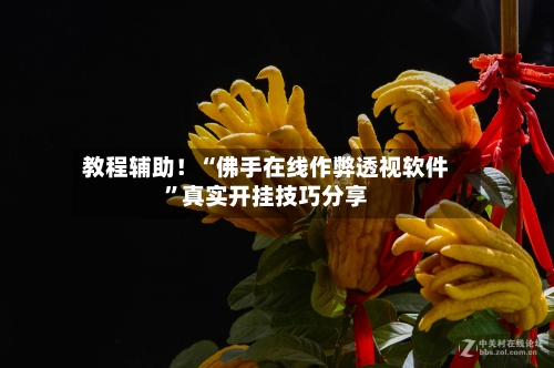 教程辅助！“佛手在线作弊透视软件”真实开挂技巧分享-第3张图片