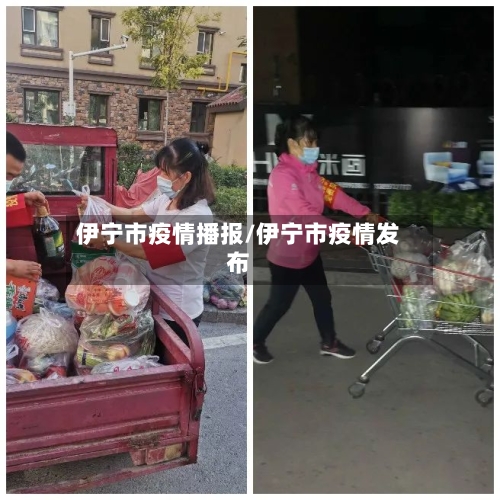伊宁市疫情播报/伊宁市疫情发布-第1张图片