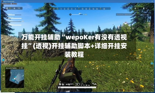 万能开挂辅助“wepoKer有没有透视挂”(透视)开挂辅助脚本+详细开挂安装教程-第1张图片
