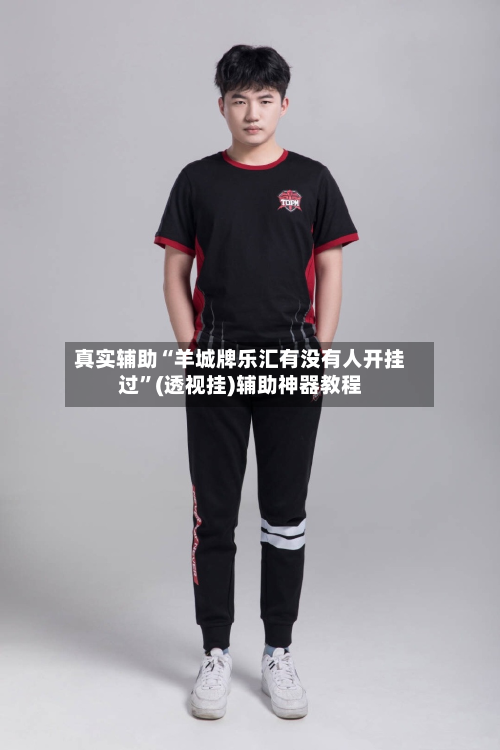真实辅助“羊城牌乐汇有没有人开挂过	”(透视挂)辅助神器教程-第1张图片