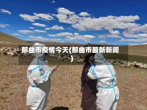那曲市疫情今天(那曲市最新新闻)-第1张图片