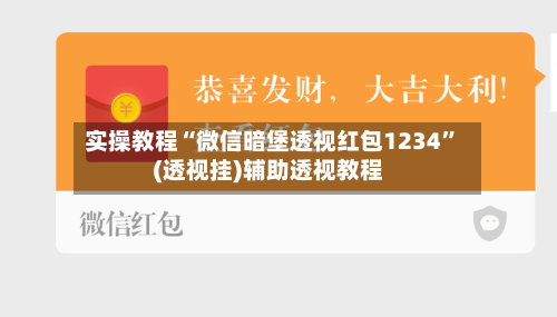 实操教程“微信暗堡透视红包1234	”(透视挂)辅助透视教程-第2张图片