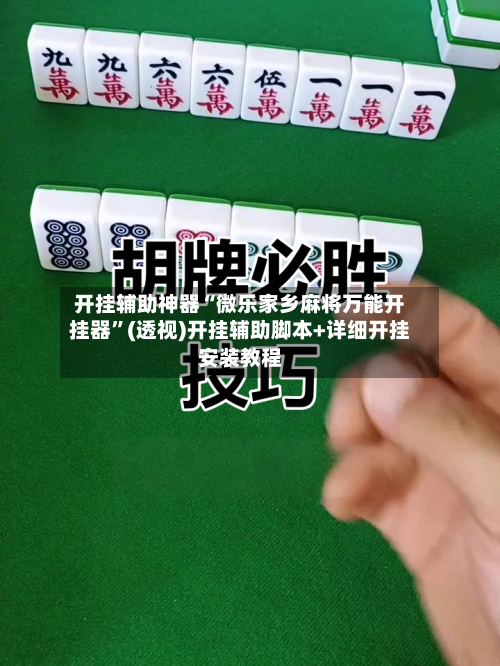开挂辅助神器“微乐家乡麻将万能开挂器”(透视)开挂辅助脚本+详细开挂安装教程-第1张图片