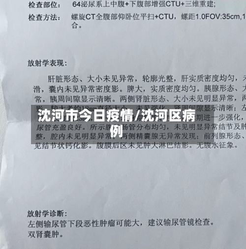 沈河市今日疫情/沈河区病例-第2张图片