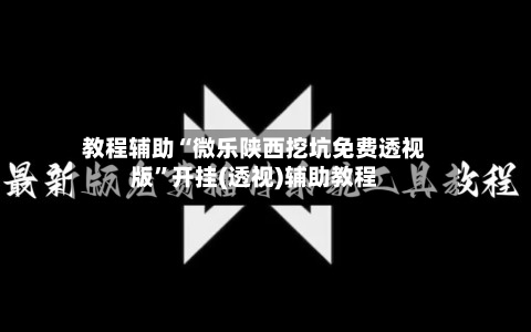 教程辅助“微乐陕西挖坑免费透视版”开挂(透视)辅助教程-第3张图片