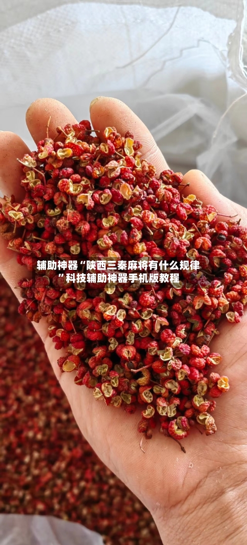 辅助神器“陕西三秦麻将有什么规律”科技辅助神器手机版教程-第2张图片