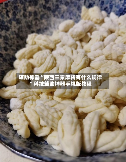 辅助神器“陕西三秦麻将有什么规律”科技辅助神器手机版教程-第1张图片