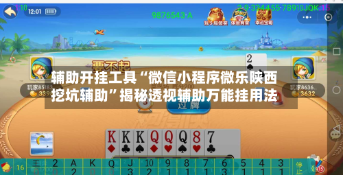 辅助开挂工具“微信小程序微乐陕西挖坑辅助”揭秘透视辅助万能挂用法-第1张图片
