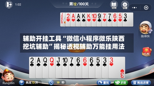 辅助开挂工具“微信小程序微乐陕西挖坑辅助	”揭秘透视辅助万能挂用法-第2张图片