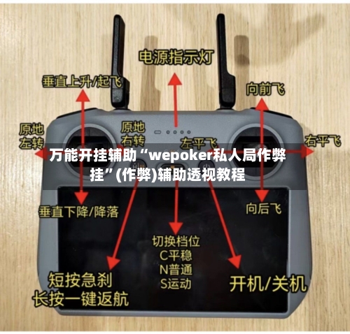 万能开挂辅助“wepoker私人局作弊挂”(作弊)辅助透视教程-第2张图片