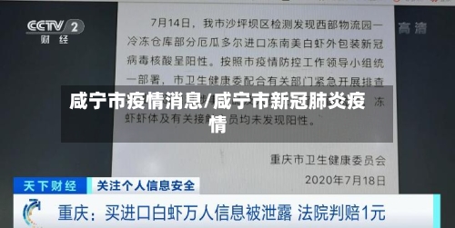 咸宁市疫情消息/咸宁市新冠肺炎疫情-第1张图片