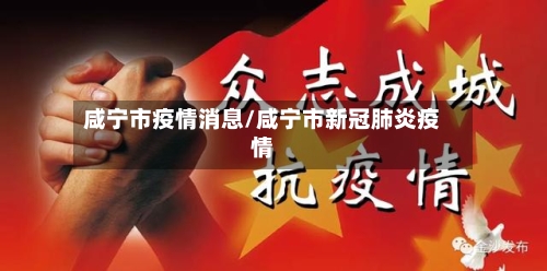 咸宁市疫情消息/咸宁市新冠肺炎疫情-第2张图片