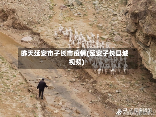 昨天延安市子长市疫情(延安子长县城视频)-第3张图片