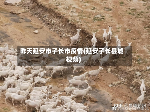 昨天延安市子长市疫情(延安子长县城视频)-第1张图片