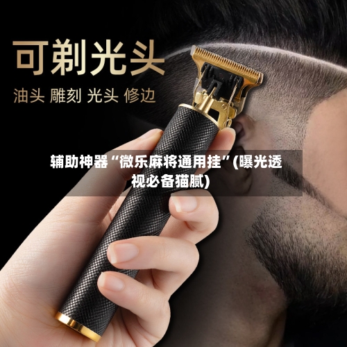 辅助神器“微乐麻将通用挂	”(曝光透视必备猫腻)-第2张图片