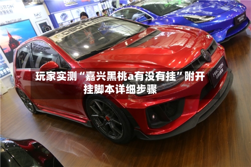 玩家实测“嘉兴黑桃a有没有挂”附开挂脚本详细步骤-第2张图片