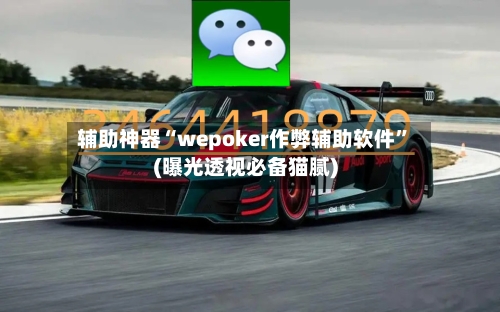 辅助神器“wepoker作弊辅助软件”(曝光透视必备猫腻)-第1张图片