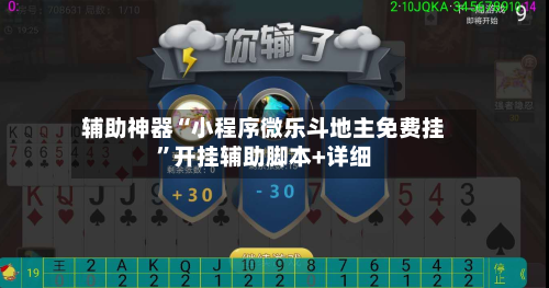 辅助神器“小程序微乐斗地主免费挂”开挂辅助脚本+详细-第2张图片