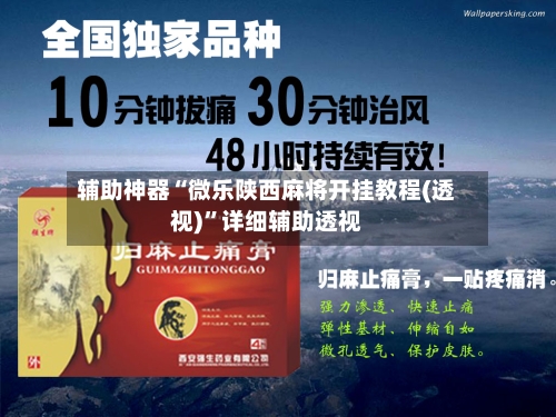 辅助神器“微乐陕西麻将开挂教程(透视)	”详细辅助透视-第1张图片