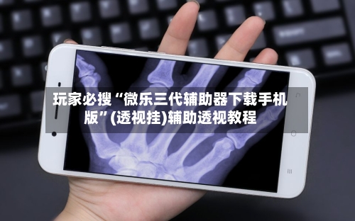 玩家必搜“微乐三代辅助器下载手机版”(透视挂)辅助透视教程-第3张图片