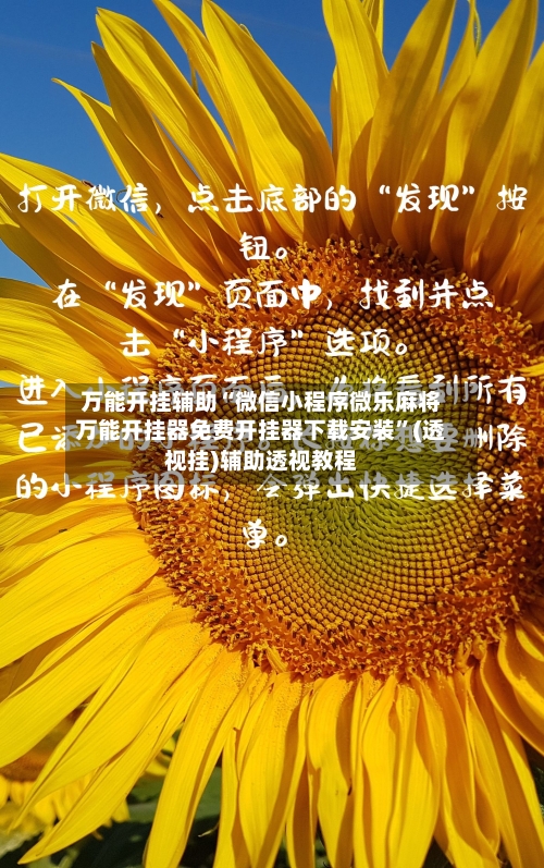 万能开挂辅助“微信小程序微乐麻将万能开挂器免费开挂器下载安装	”(透视挂)辅助透视教程-第1张图片