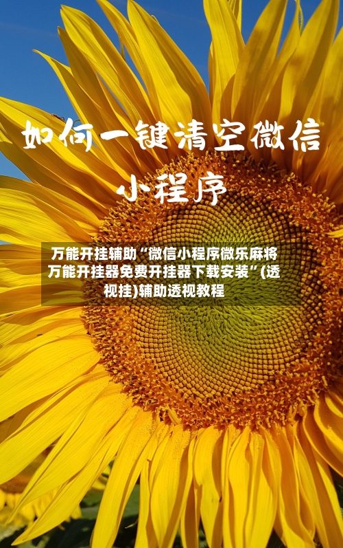 万能开挂辅助“微信小程序微乐麻将万能开挂器免费开挂器下载安装”(透视挂)辅助透视教程-第3张图片