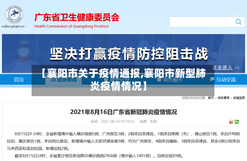 【襄阳市关于疫情通报,襄阳市新型肺炎疫情情况】-第2张图片