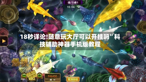 18秒详论!随意玩大厅可以开挂吗	”科技辅助神器手机版教程-第1张图片